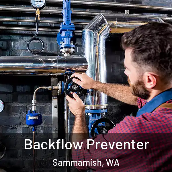  Backflow Preventer Sammamish, WA