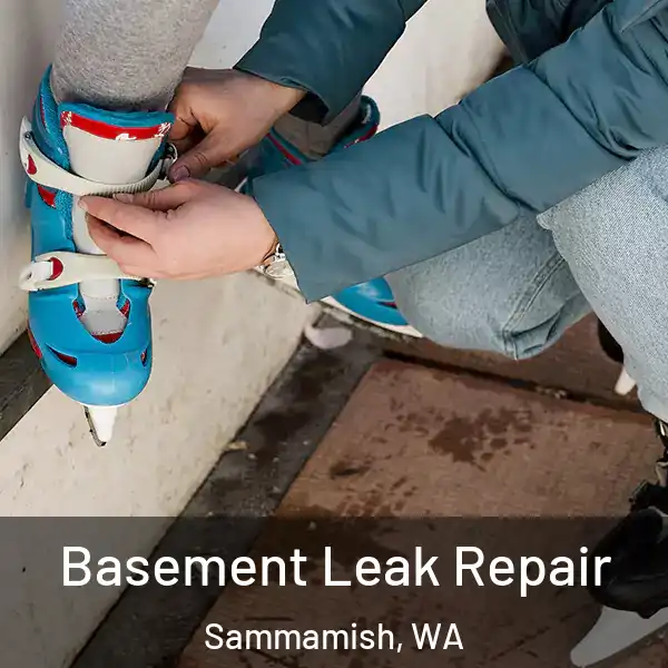  Basement Leak Repair Sammamish, WA