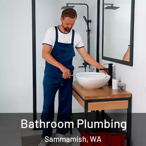  Bathroom Plumbing Sammamish, WA