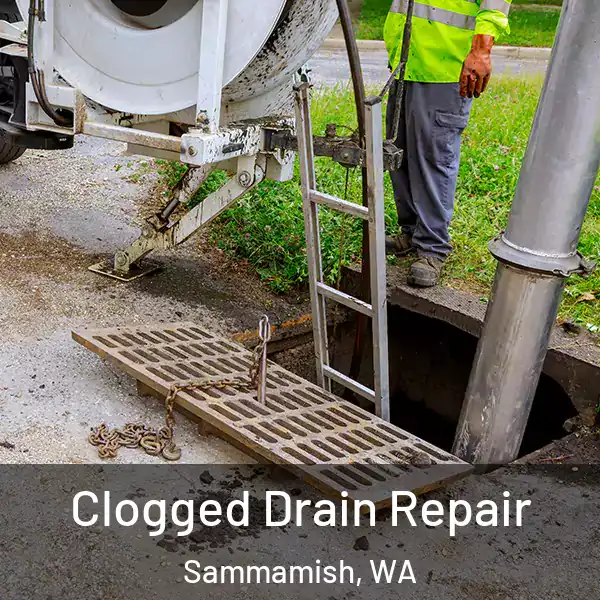 Clogged Drain Repair Sammamish, WA