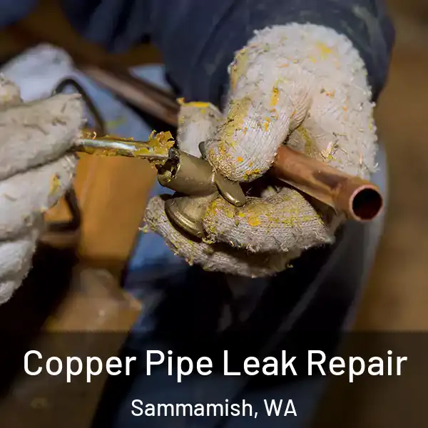  Copper Pipe Leak Repair Sammamish, WA