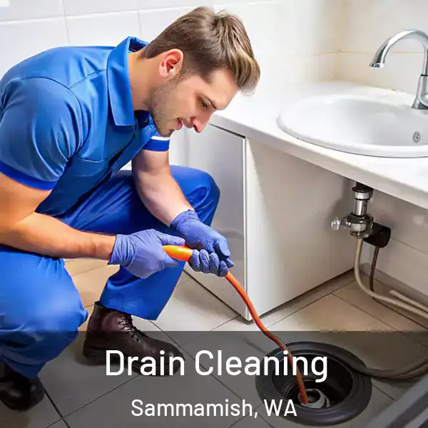  Drain Cleaning Sammamish, WA