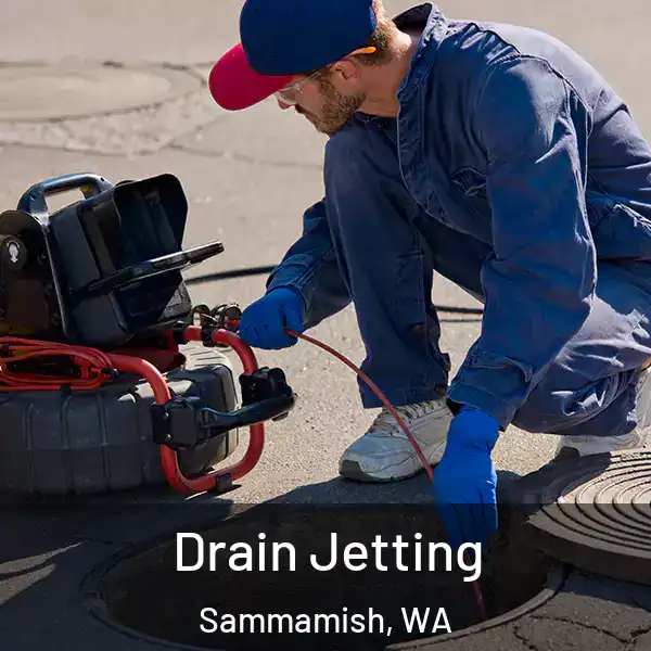  Drain Jetting Sammamish, WA