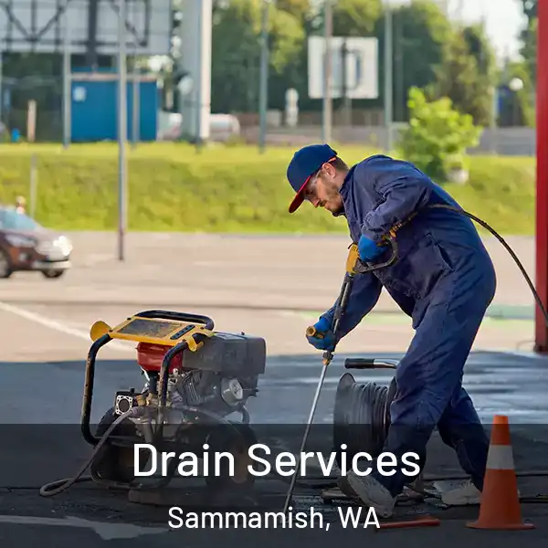  Drain Services Sammamish, WA