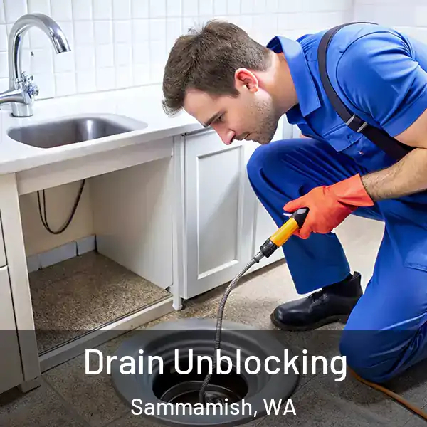  Drain Unblocking Sammamish, WA
