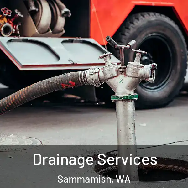  Drainage Services Sammamish, WA
