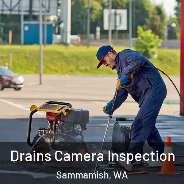  Drains Camera Inspection Sammamish, WA