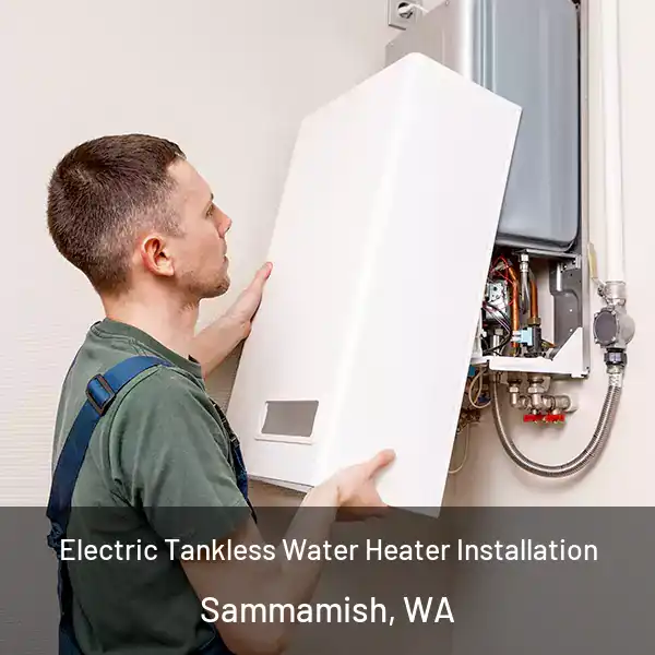  Electric Tankless Water Heater Installation Sammamish, WA