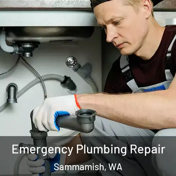  Emergency Plumbing Repair Sammamish, WA