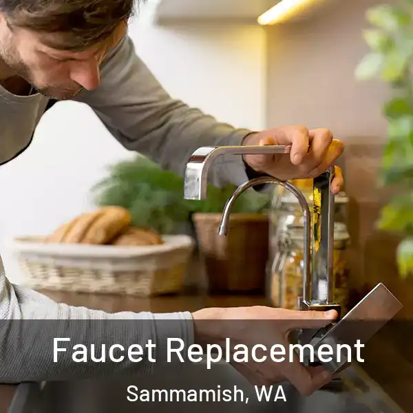  Faucet Replacement Sammamish, WA