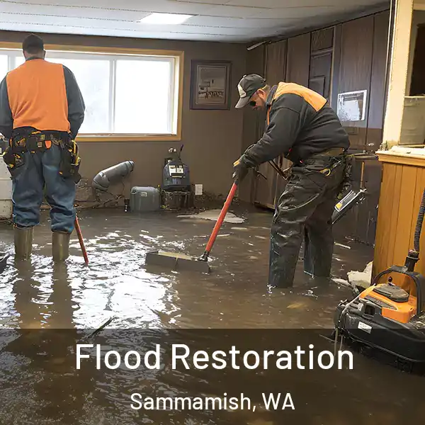  Flood Restoration Sammamish, WA