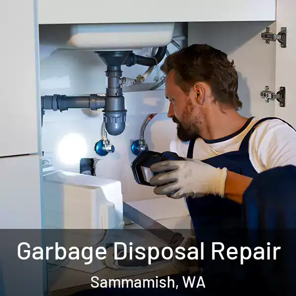  Garbage Disposal Repair Sammamish, WA