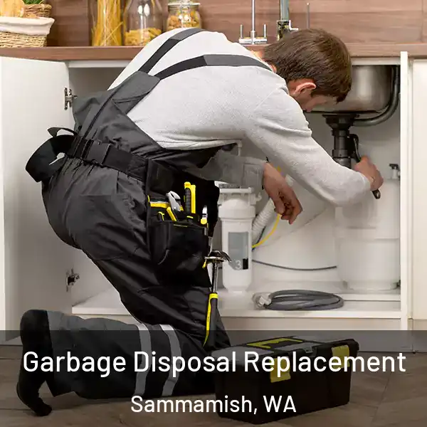  Garbage Disposal Replacement Sammamish, WA