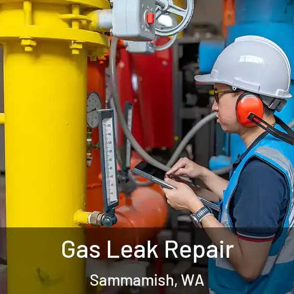  Gas Leak Repair Sammamish, WA