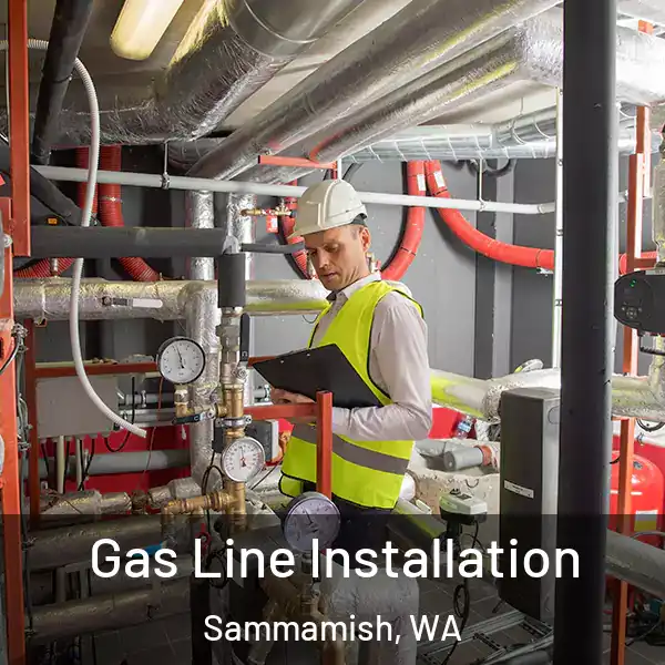  Gas Line Installation Sammamish, WA