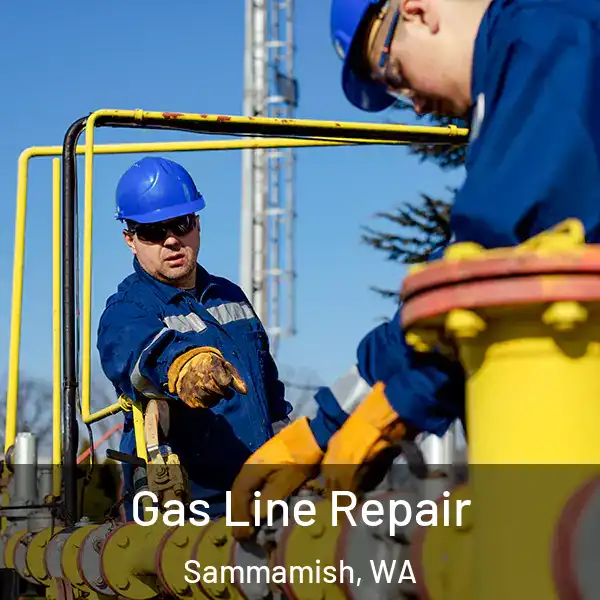  Gas Line Repair Sammamish, WA