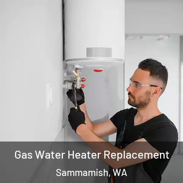  Gas Water Heater Replacement Sammamish, WA
