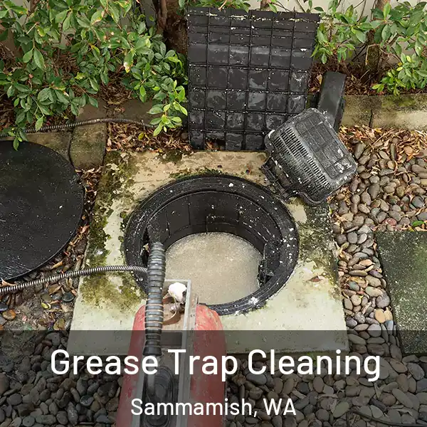  Grease Trap Cleaning Sammamish, WA
