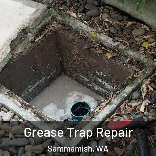  Grease Trap Repair Sammamish, WA