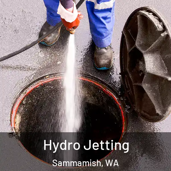  Hydro Jetting Sammamish, WA