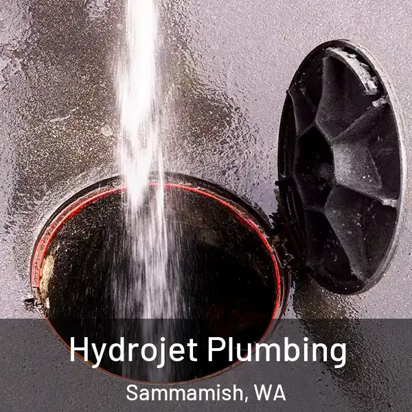  Hydrojet Plumbing Sammamish, WA