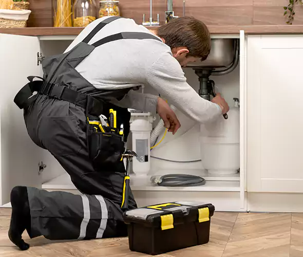 Certified Plumbers for Insinkerator Installation in Sammamish