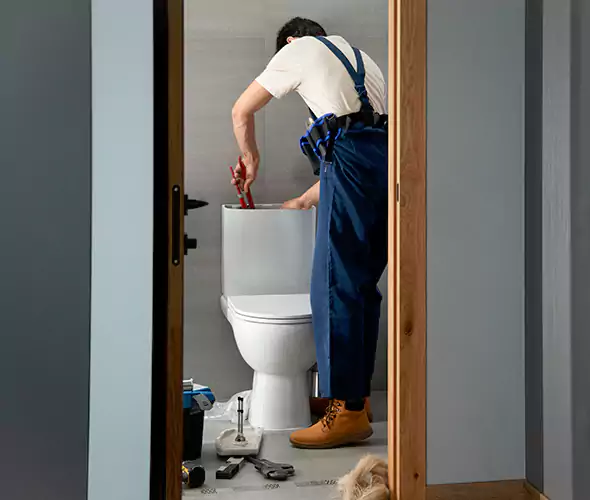 Professional Plumbers for Toilet Bowl Replacement in Sammamish, WA: Schedule Affordable Toilet Replacement Services With Us