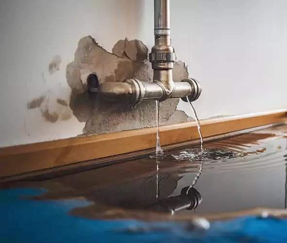Professional Water Damage Restoration Experts in Sammamish, WA — Fast, Reliable & Certified