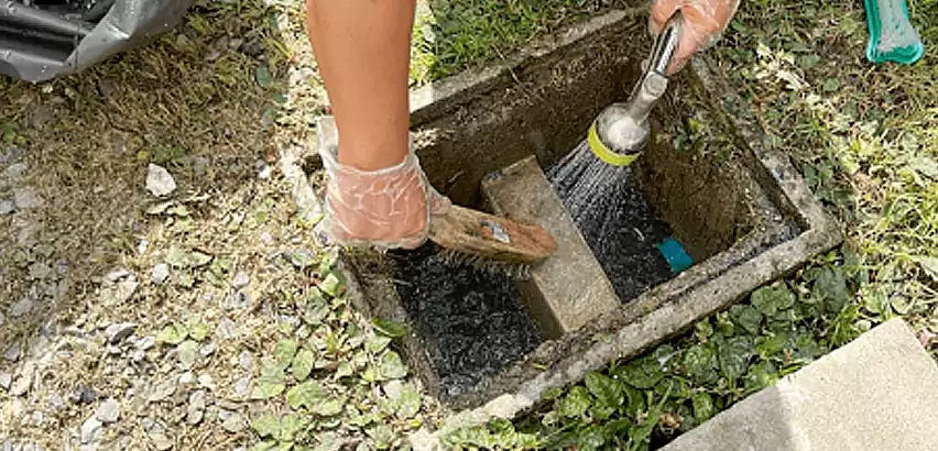 Professional Grease Trap Cleaning Services in Sammamish, WA