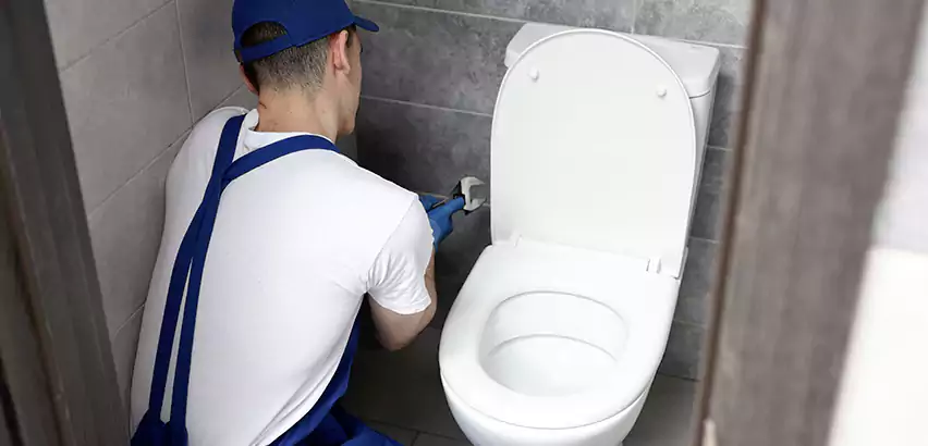 Toilet Lid Replacement in Sammamish
