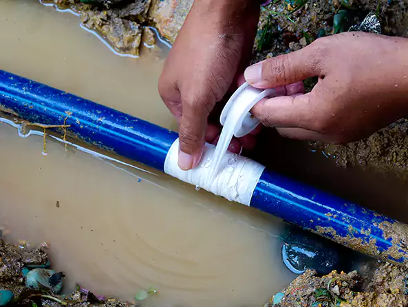  Why Choose Fox Plumbing Sammamish for Water Line Repair in Sammamish, WA?]