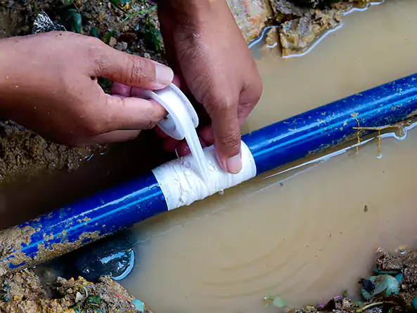 Why Choose Fox Plumbing Sammamish for Water Line Replacement in Sammamish, WA?