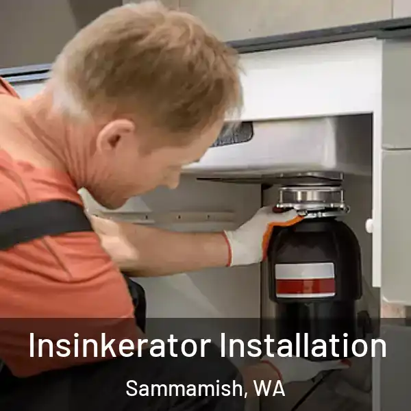  Insinkerator Installation Sammamish, WA