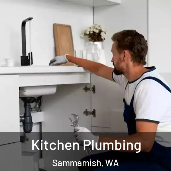  Kitchen Plumbing Sammamish, WA