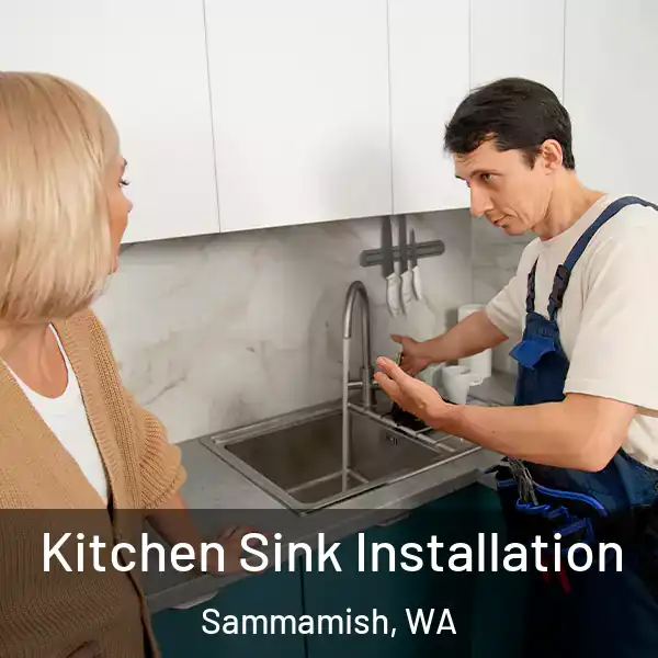  Kitchen Sink Installation Sammamish, WA