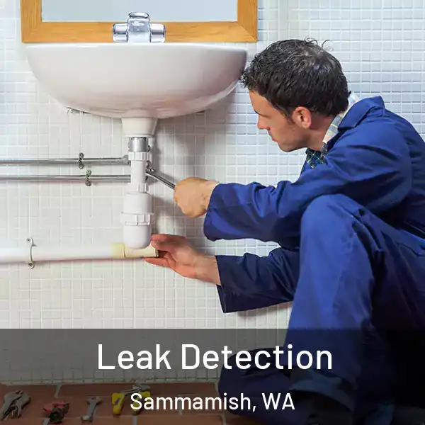  Leak Detection Sammamish, WA
