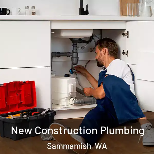  New Construction Plumbing Sammamish, WA