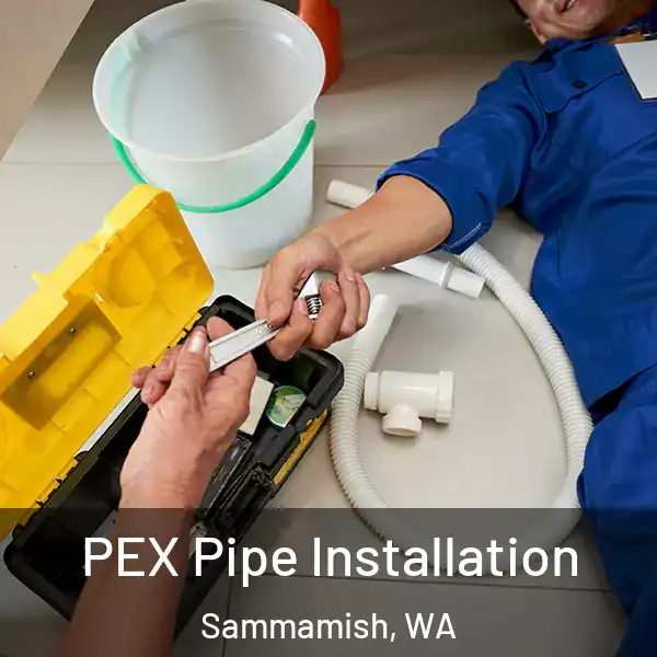  PEX Pipe Installation Sammamish, WA