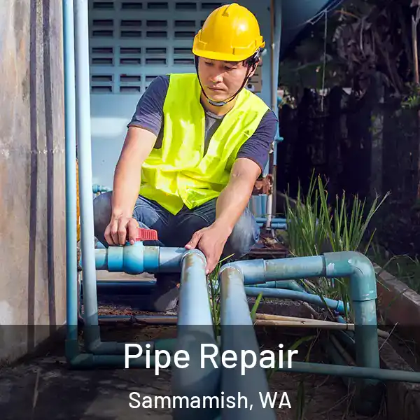  Pipe Repair Sammamish, WA