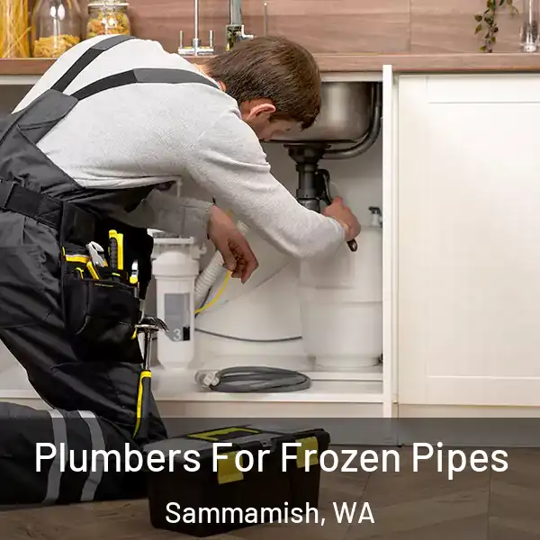  Plumbers For Frozen Pipes Sammamish, WA