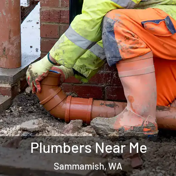  Plumbers Near Me Sammamish, WA