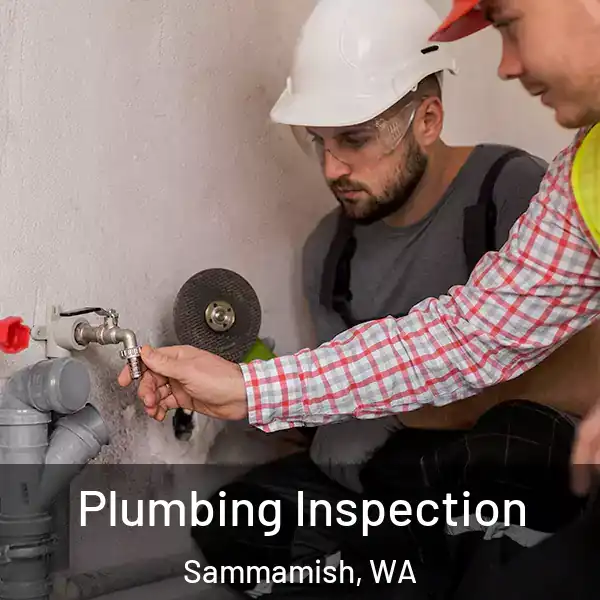  Plumbing Inspection Sammamish, WA