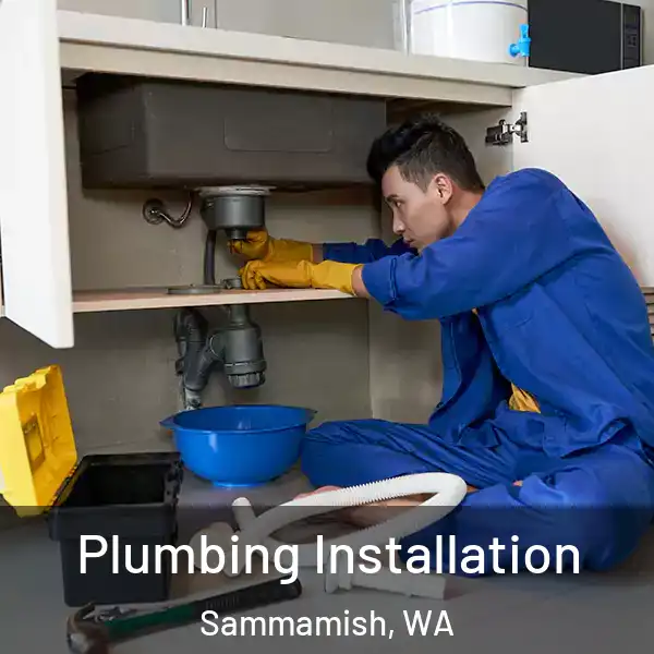  Plumbing Installation Sammamish, WA