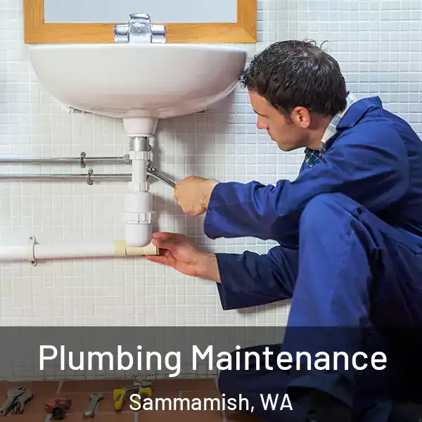  Plumbing Maintenance Sammamish, WA