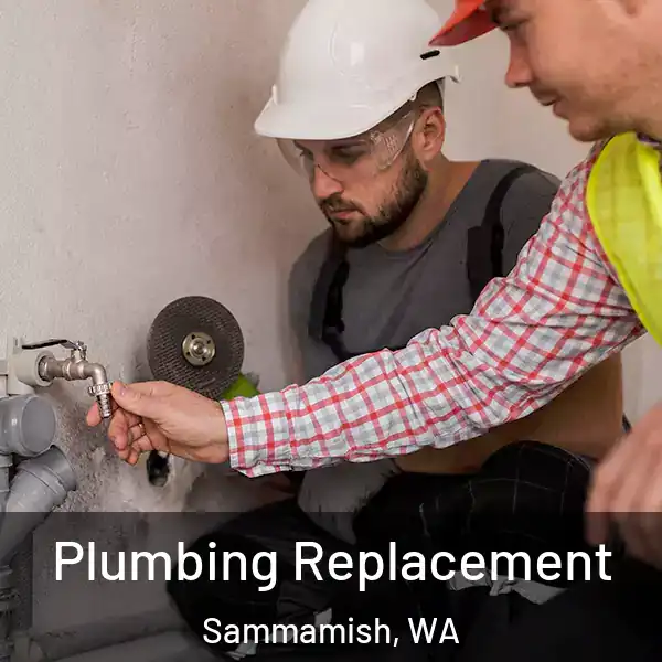  Plumbing Replacement Sammamish, WA