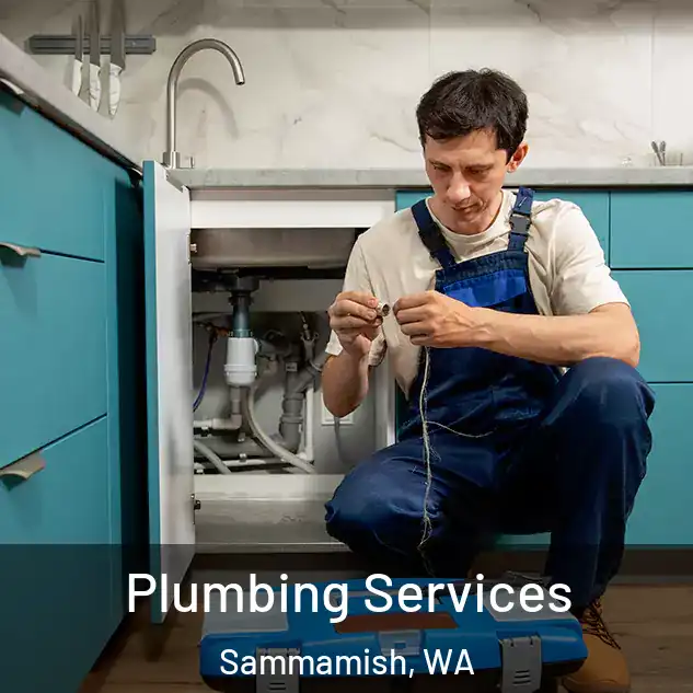 Plumbing Services Sammamish, WA