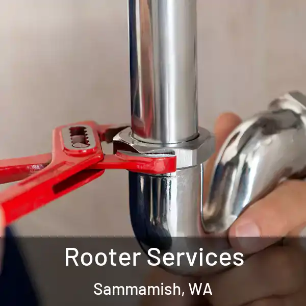  Rooter Services Sammamish, WA