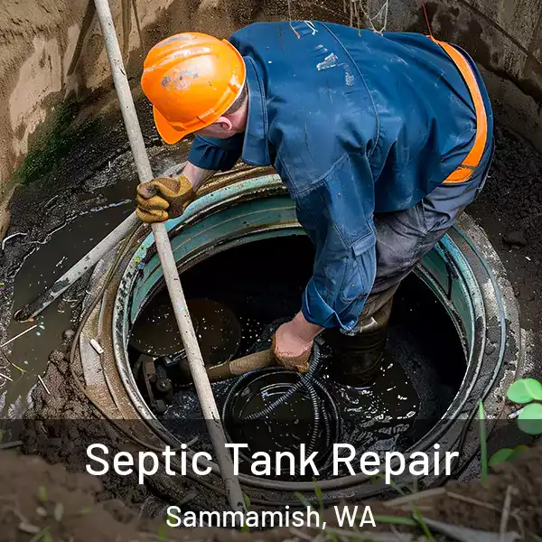  Septic Tank Repair Sammamish, WA