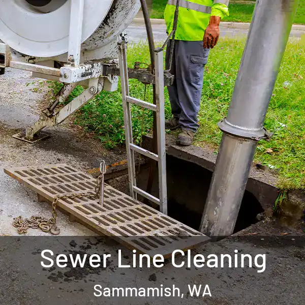  Sewer Line Cleaning Sammamish, WA