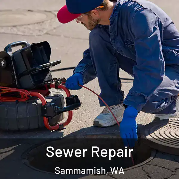  Sewer Repair Sammamish, WA